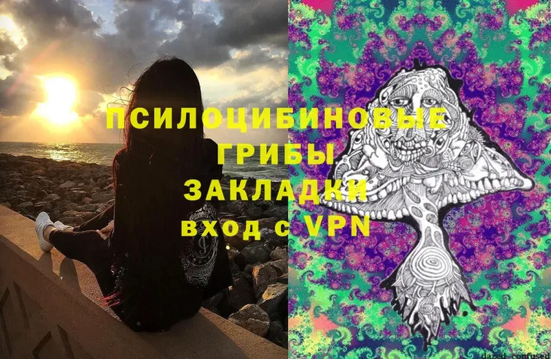 Псилоцибиновые грибы ЛСД  Грязи 